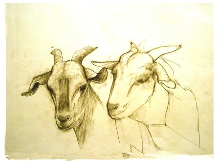 2 goats awaiting the chop
